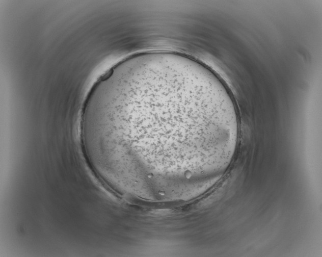 X0000113261477200910011357