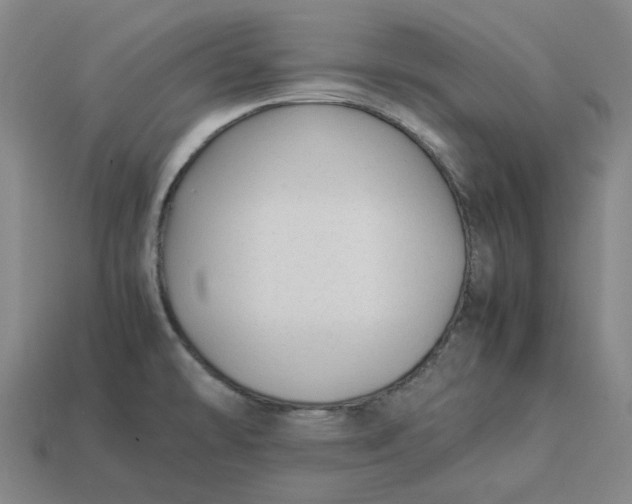 X0000113261478200910011357