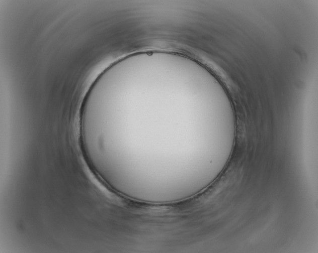 X0000113261479200910011357