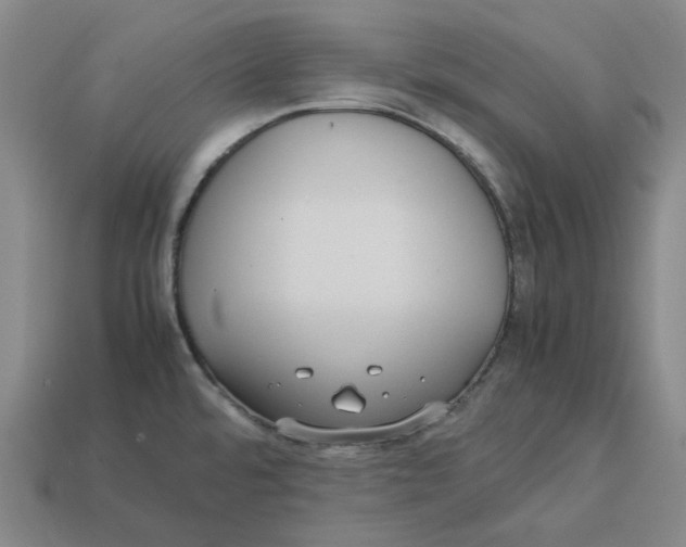 X0000113261480200910011357