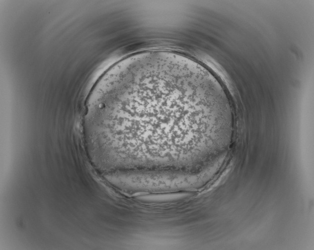 X0000113261481200910011357