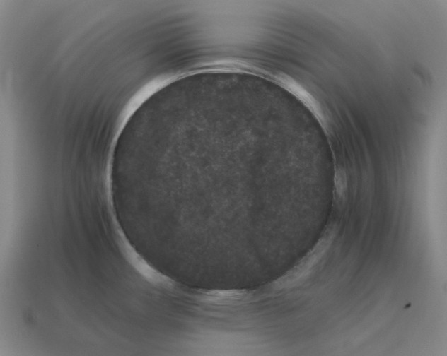 X0000113261482200910011357