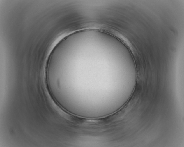 X0000113261483200910011357