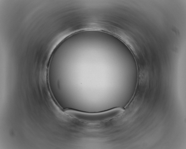 X0000113261484200910011357