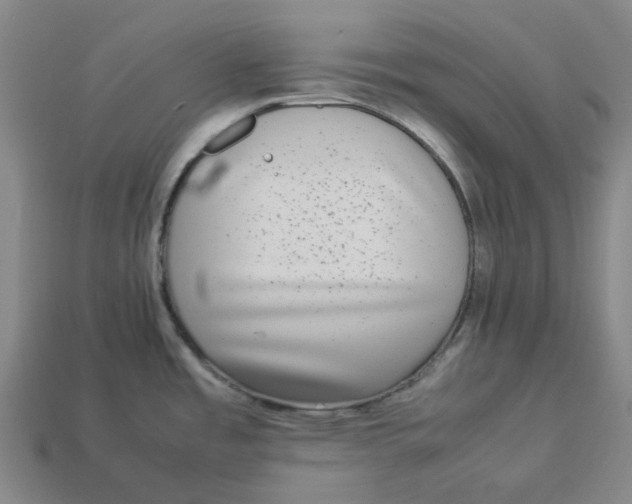 X0000113261485200910011357