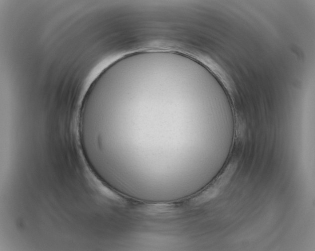 X0000113261486200910011357