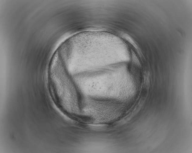 X0000113261487200910011357