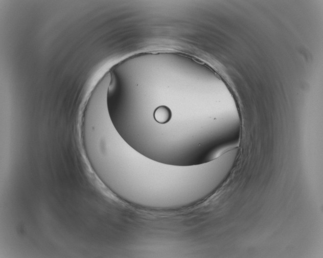 X0000113261488200910011357