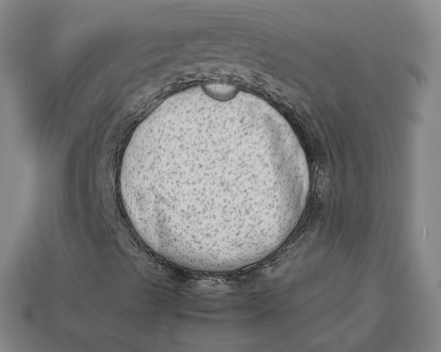 X0000113261489200910011356