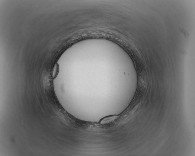 X0000113261490200910011356