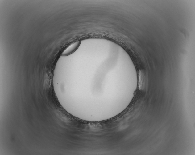 X0000113261491200910011356