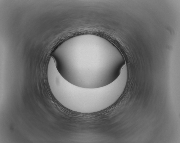 X0000113261492200910011356