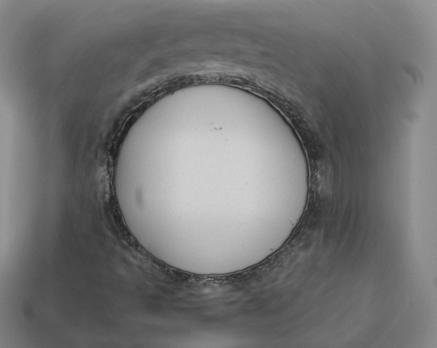 X0000113261493200910011356