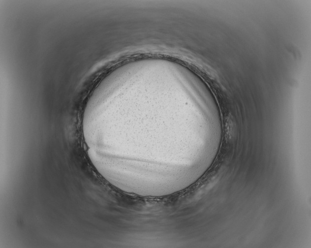 X0000113261494200910011356