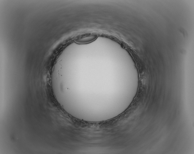 X0000113261495200910011356