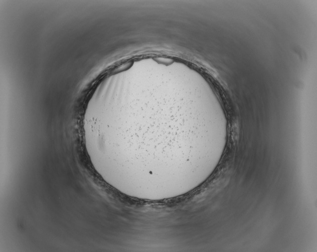 X0000113261496200910011356