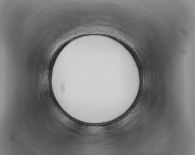 X0000113261498200910011356