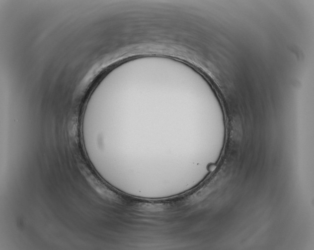 X0000113261499200910011356