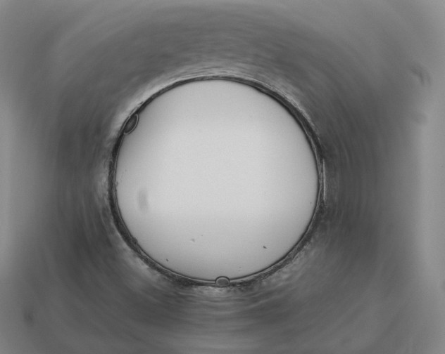 X0000113261500200910011356