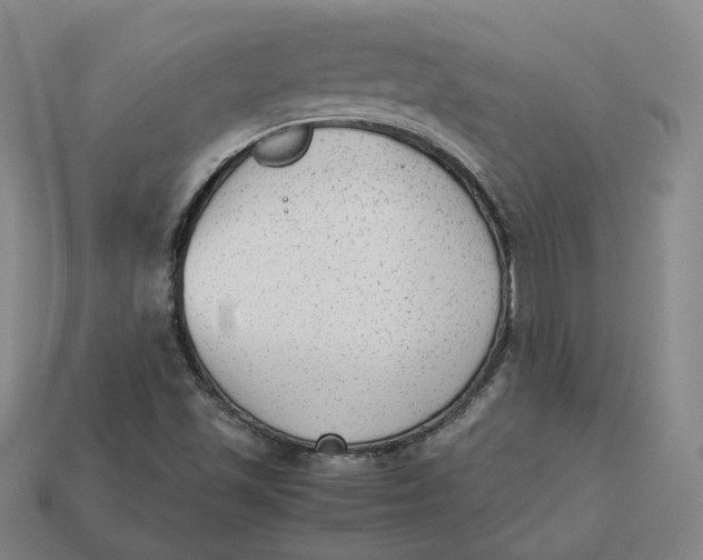 X0000113261501200910011356