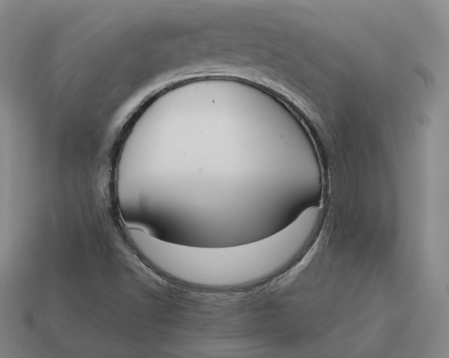 X0000113261502200910011356