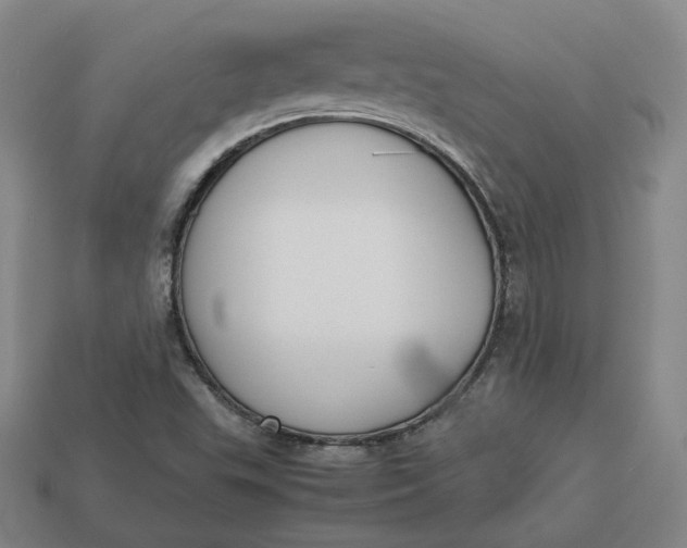 X0000113261503200910011356