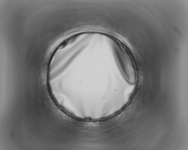 X0000113261504200910011356