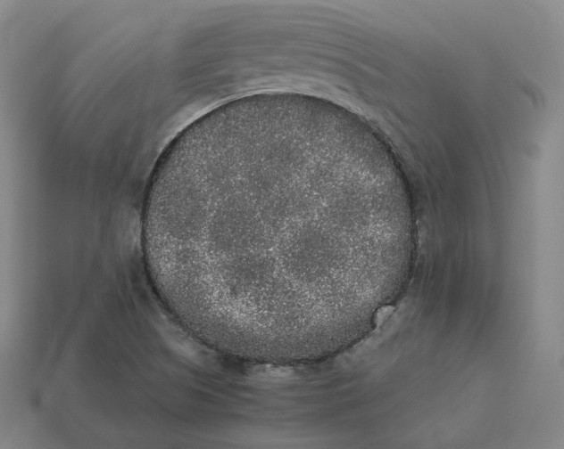 X0000113261505200910011356