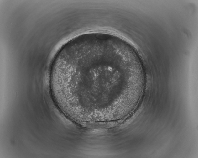 X0000113261506200910011356