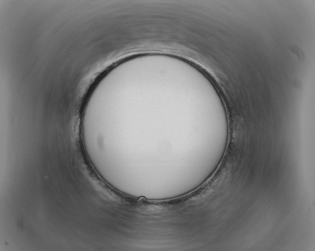 X0000113261507200910011356