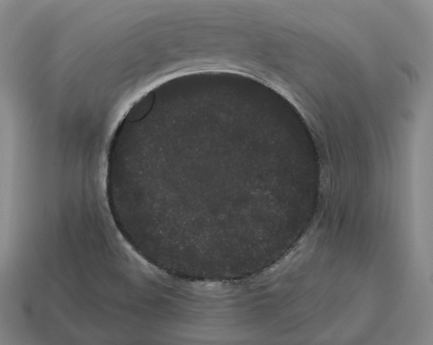 X0000113261508200910011356