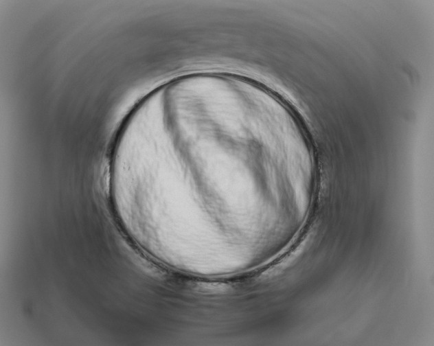 X0000113261509200910011356