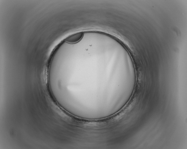 X0000113261510200910011356