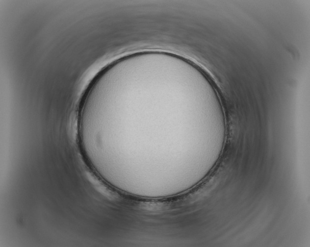 X0000113261511200910011356