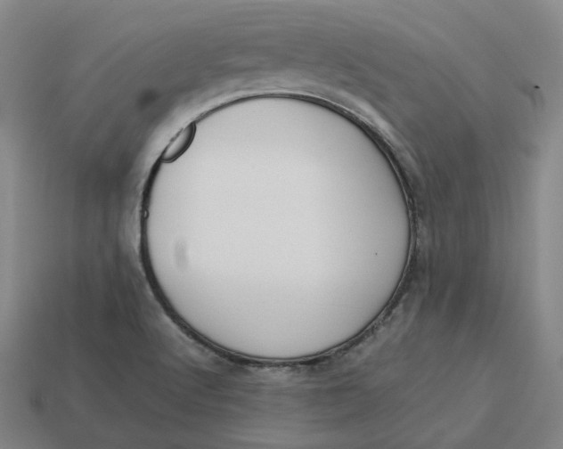 X0000113261512200910011356