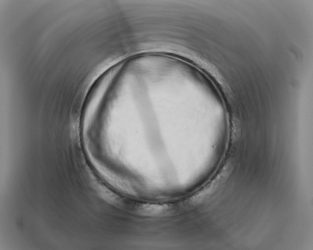 X0000113261513200910011356