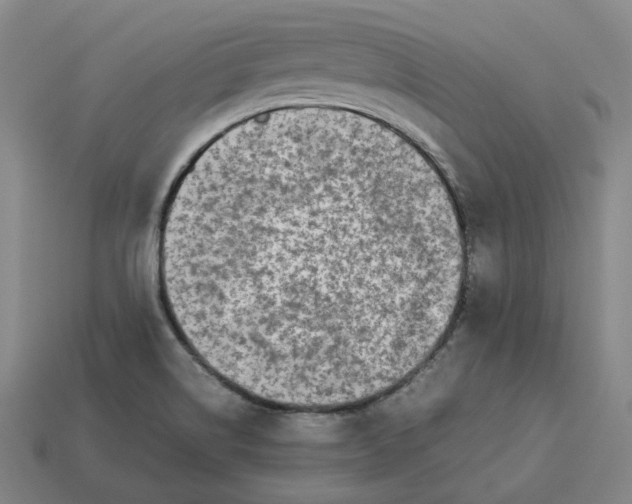 X0000113261514200910011356