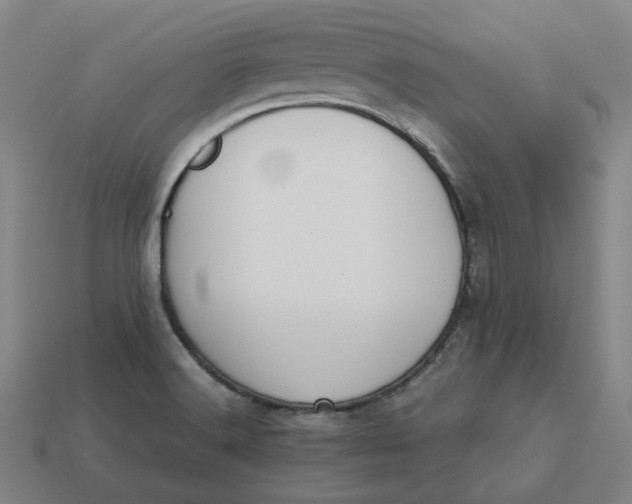 X0000113261516200910011356