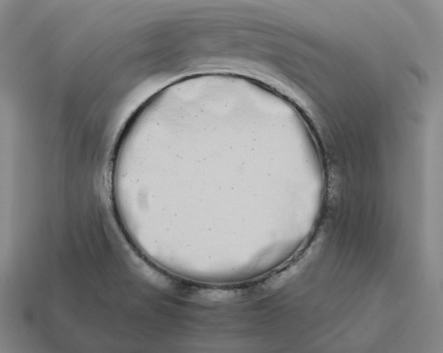 X0000113261517200910011356