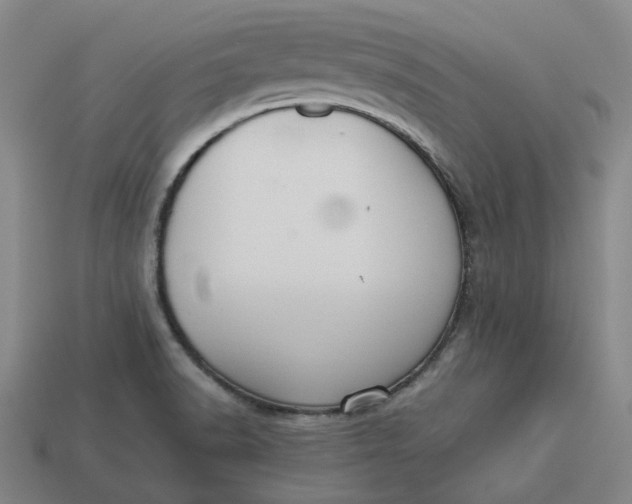 X0000113261518200910011356