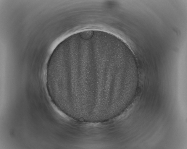 X0000113261519200910011356