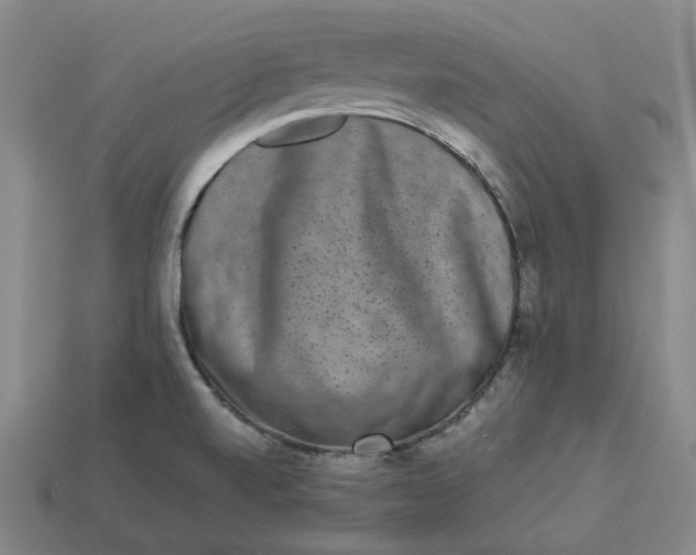 X0000113261520200910011356