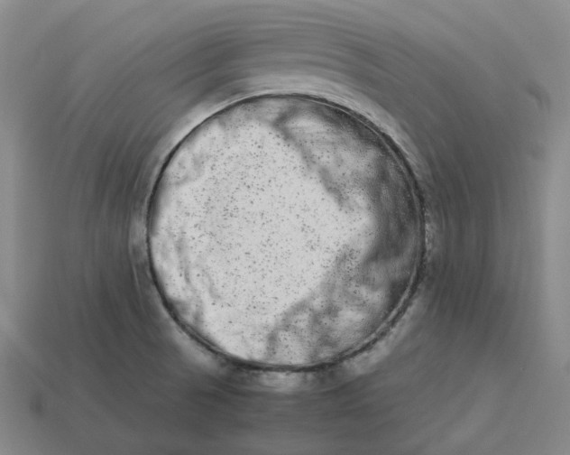 X0000113261521200910011356