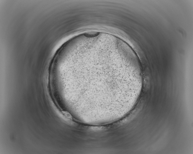 X0000113261523200910011356