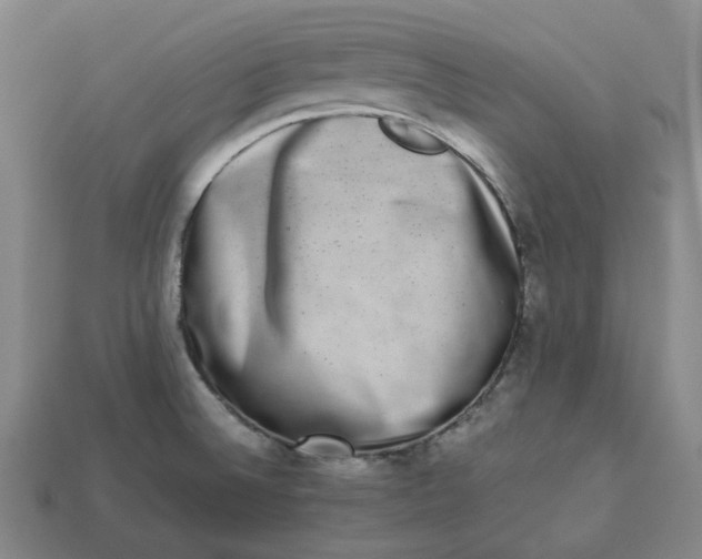 X0000113261524200910011356