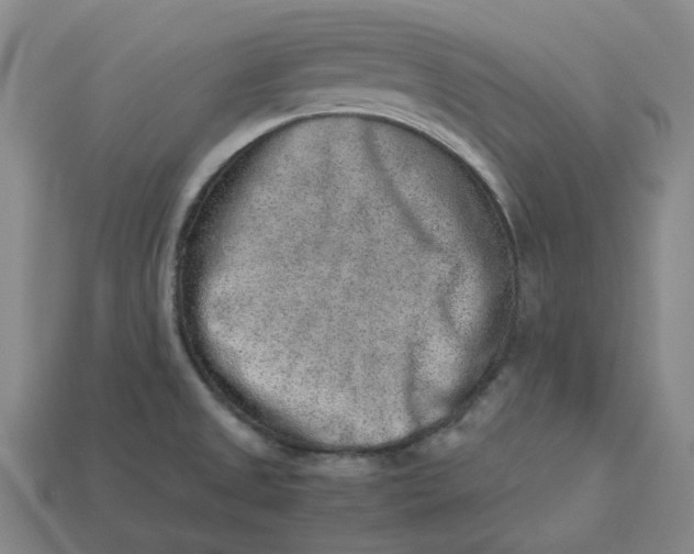 X0000113261525200910011356