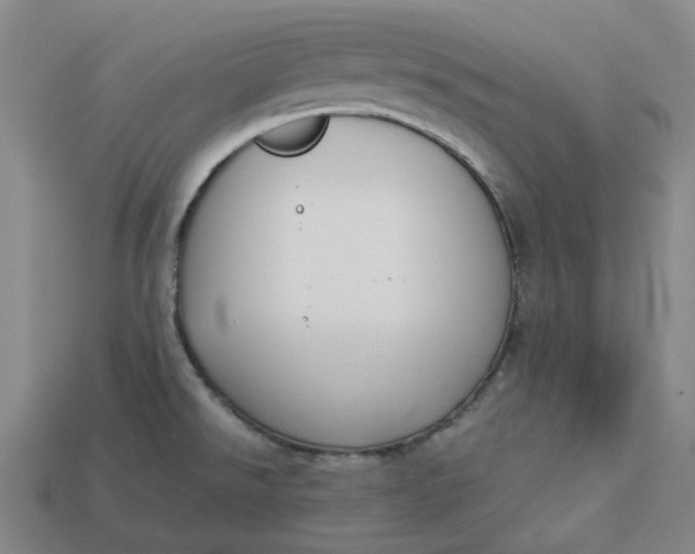 X0000113261526200910011356