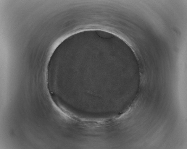 X0000113261527200910011356