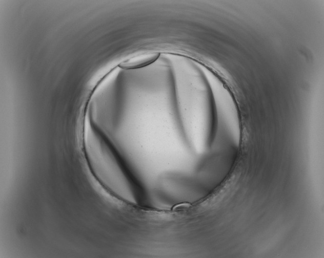 X0000113261528200910011356