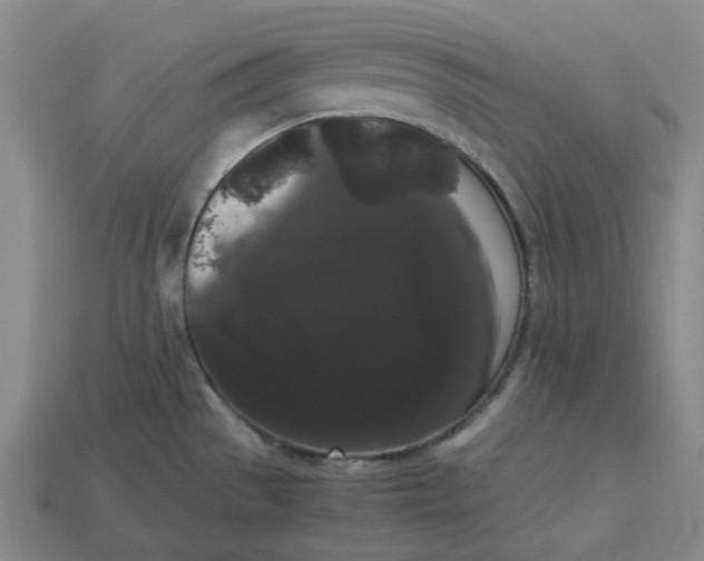 X0000113261529200910011356